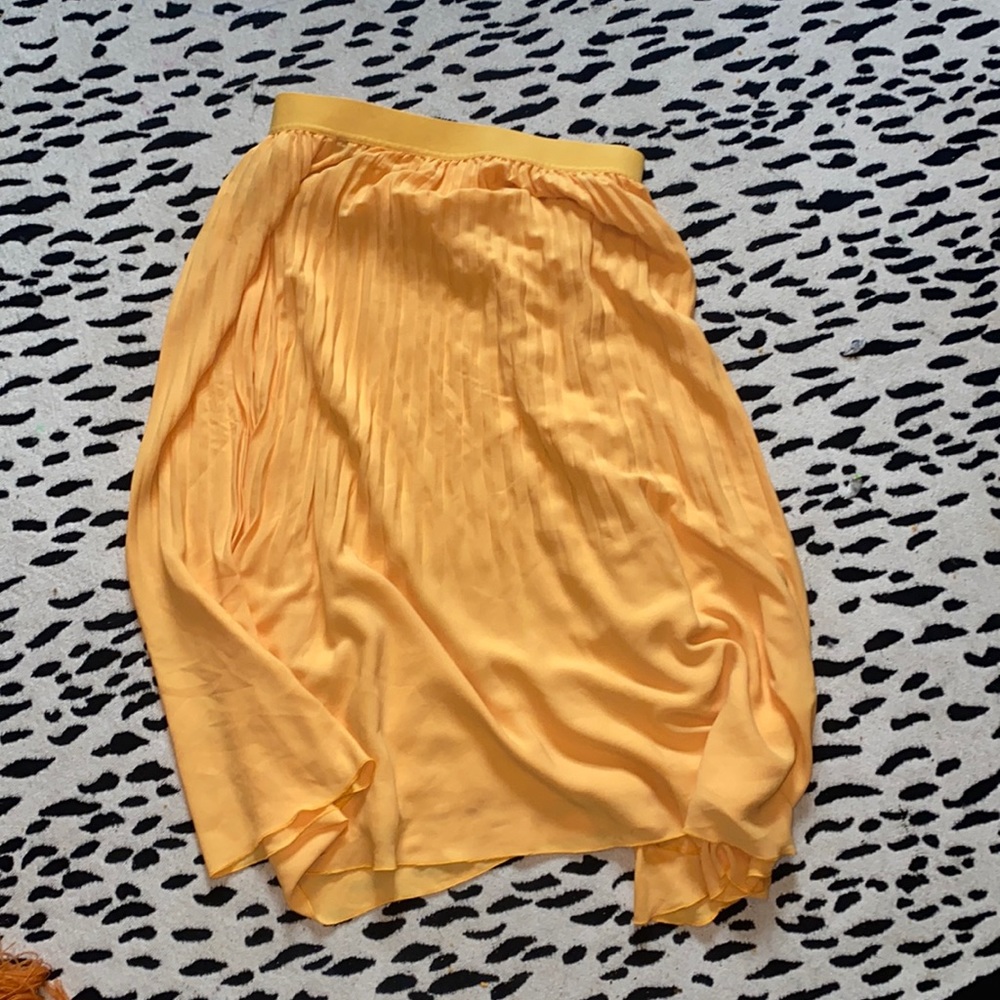 Pleated J Crew Skirt